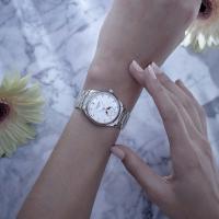 LONGINES MASTER COLLECTION MOONPHASE